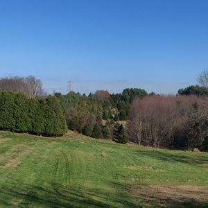 Meet your Posher, Rory